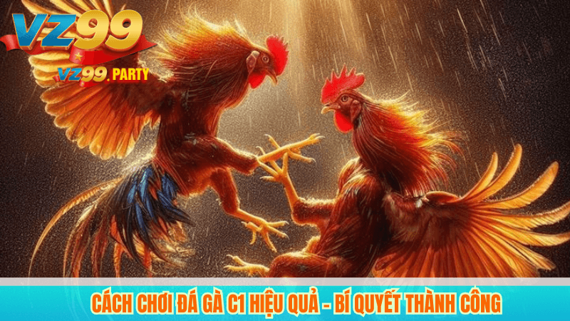 Cách chơi đá gà c1 hiệu quả – Bí quyết thành công