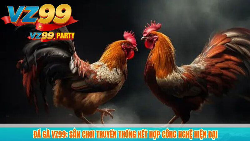 Đá gà VZ99: Sân chơi truyền thống kết hợp công nghệ hiện đại