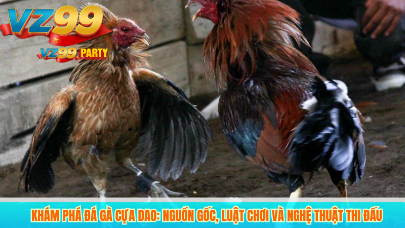 Đá gà cựa dao VZ99 – Trực tiếp và bình luận chuyên nghiệp 2 Khám phá đá gà cựa dao: Nguồn gốc, luật chơi và nghệ thuật thi đấu